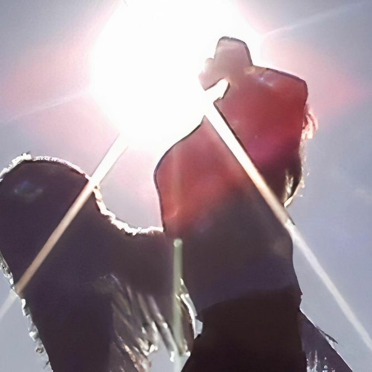 angel icon